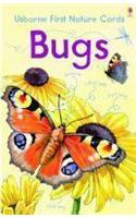 Nature Cards: Bugs(Spotters Activity Cards)