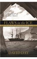 Flaws in the Ice