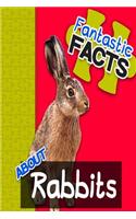 Fantastic Facts about Rabbits