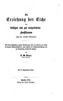 Die Erziehnug der Eiche