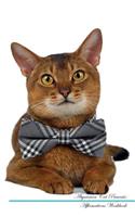 Abyssinian Cat Affirmations Workbook Abyssinian Cat Presents: Positive and Loving Affirmations Workbook. Includes: Mentoring Questions, Guidance, Supporting You.