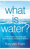 What Is Water?