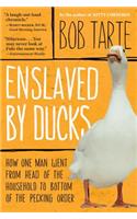Enslaved by Ducks