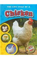 The Life Cycle of a Chicken: (Life Cycles)