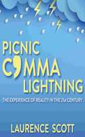 Picnic Comma Lightning: The Experience of Reality in the Twenty-First Century
