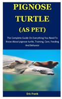 Pignose Turtle As pet: The Complete Guide On Everything You Need To Know About pignose turtle, Training, Care, Feeding And Behavior