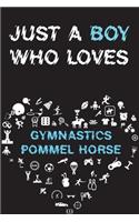 Just A Boy Who Loves GYMNASTICS POMMEL HORSE Notebook