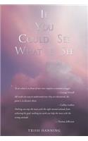 If You Could See What I See