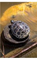 Red-eared Slider Terrapin/Turtle Journal (Trachemys Scripta Elegans): 150 page lined notebook/diary