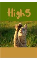 High 5