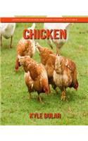 Chicken! Learn about Chicken and Enjoy Colorful Pictures