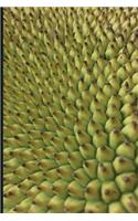 Jackfruit Tree: Daily Planner Diary Journal Book for Vegan Lovers of This Miracle Fruit Plant Based Meat Alternative