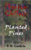 Planted Pines
