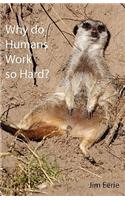 Why Do Humans Work So Hard?