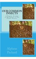 Our Common Insects