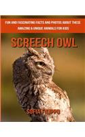 Screech Owl