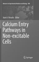 Calcium Entry Pathways in Non-Excitable Cells