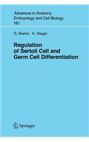 Regulation of Sertoli Cell and Germ Cell Differentiation