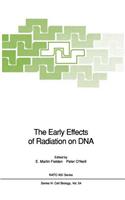 Early Effects of Radiation on DNA