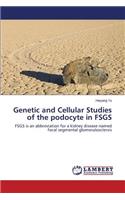 Genetic and Cellular Studies of the podocyte in FSGS