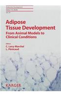 Adipose Tissue Development: From Animal Models to Clinical Conditions