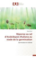 Réponse Au Sel D Arabidopsis Thaliana Au Stade de la Germination
