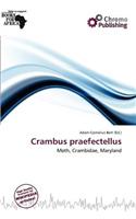 Crambus Praefectellus