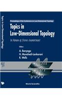 Topics In Low Dimensional Topology: In Honor Of Steve Armentrout - Proceedings Of The Conference On Low-dimensional Topology