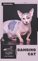 Bambino Cat