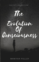 Evolution of Consciousness