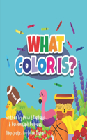What Color is...?: Have fun learning colors!