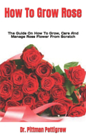 How To Grow Rose