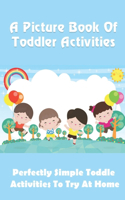 A Picture Book Of Toddler Activities: Perfectly Simple Toddler Activities To Try At Home: Group Activities For Toddlers