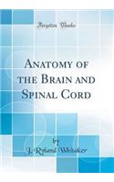 Anatomy of the Brain and Spinal Cord (Classic Reprint)