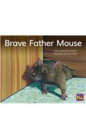 Brave Father Mouse