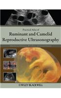 Practical Atlas of Ruminant and Camelid Reproductive Ultrasonography