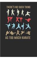 There's No Such Thing As Too Much Karate