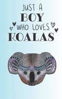 Just A Boy Who Loves Koalas