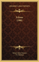 Echinus (1900)