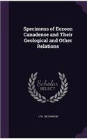 Specimens of Eozoon Canadense and Their Geological and Other Relations