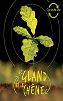Cycle de Vie: Le Gland Et Le Chêne