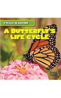 Butterfly's Life Cycle