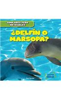 ¿Delfín O Marsopa? (Dolphin or Porpoise?)