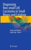 Diagnosing Non-Small Cell Carcinoma in Small Biopsy and Cytology