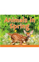 Animals in Spring: (Welcoming the Seasons)