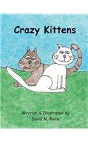 Crazy Kittens