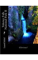 Toketee Falls National Park II