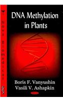 DNA Methylation in Plants