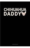 Chihuahua Daddy