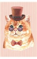 The Cat Lover Collection